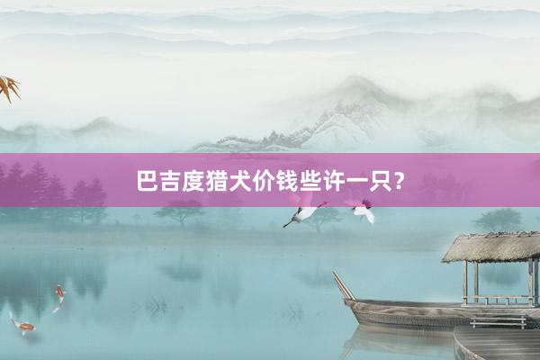 巴吉度猎犬价钱些许一只？